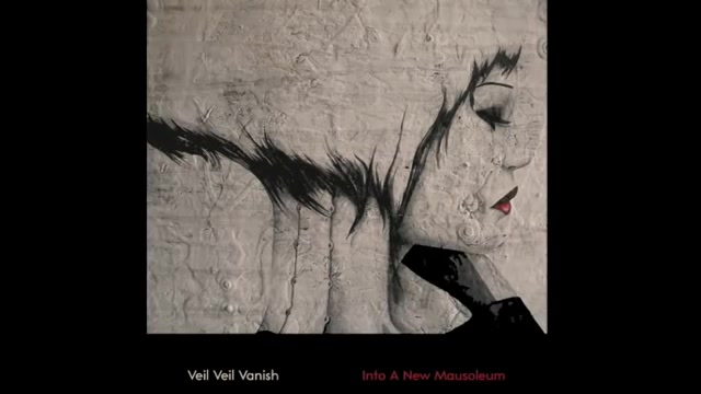 Veil Veil Vanish - What Will You Say Tonight