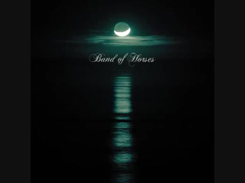 The General Specific - Band of Horses.