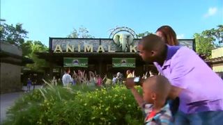 Walt Disney World Resort Benefits - Extra Magic Hours - Disney Parks