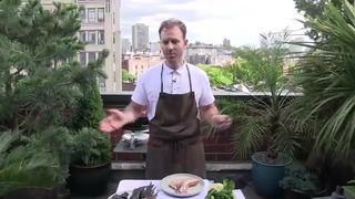 How to Grill Fish Collar