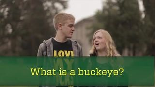 What is a buckeye