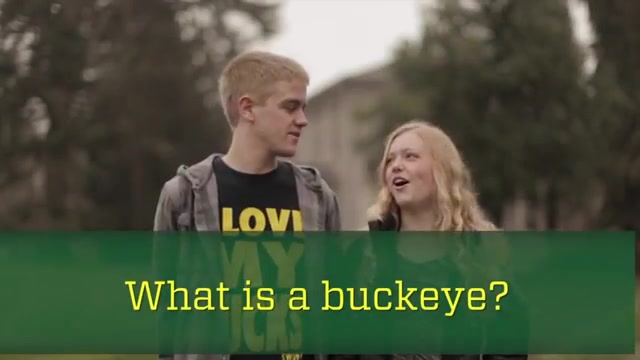 What is a buckeye