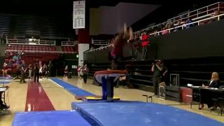 Do It Big Stanford- Stanford Women's Gymnastics