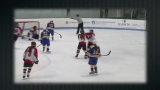 Wellesley Raider Ice Hockey Promo by Rebekah Caron