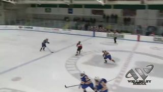 Wellesley Raider Girls' Ice Hockey Competing for State
