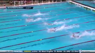 Cal Men's Swimming Report- NCAA Championships