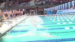 Cal Men's Swimming & Diving- NCAA Championships Day 1