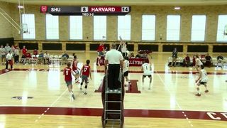 Balanced Attack Leads Men’s Volleyball to Victory