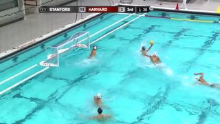 Men's Water Polo Falls to Stanford in Home Opener