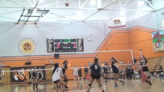 Tigers Volleyball defeats Temple City 3-0