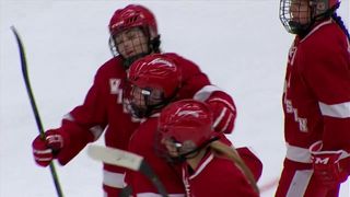 Wisconsin Women's Hockey wins series vs Lindenwood