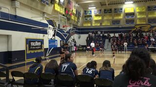 Tigers Volleyball Championship Game