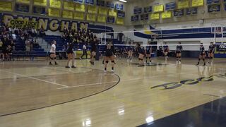 Tigers Volleyball Championship Game