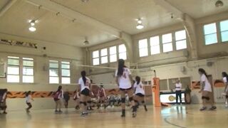 LINCOLN VOLLEYBALL HIGHLIGHTS 4