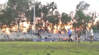 LINCOLN TIGERS BOYS SOCCER VS WILSON