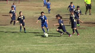 YOUTH FILM PRODUCTIONS -ITZY BITZY VS LITTLE KICKERS CHAMPIONSHIP COVERAGE