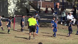 YOUTH FILM PRODUCTIONS -ITZY BITZY VS LITTLE KICKERS CHAMPIONSHIP COVERAGE