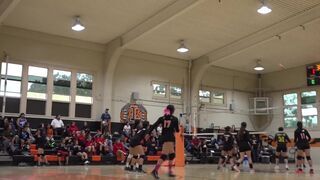 TIGERS GIRLS VOLLEYBALL GAME TIME