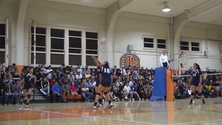 TIGER GIRLS VOLLEYBALL ROAD TO THE FINALS