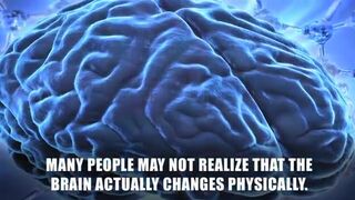 the most amazing facts about the human brain