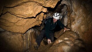 The Neanderthals' Dark Secret